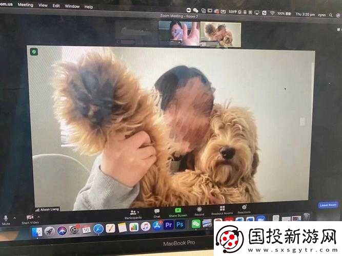 狗-Zoom-和人類(lèi)-Zoom-哪個(gè)好：寵物與人類(lèi)的比較