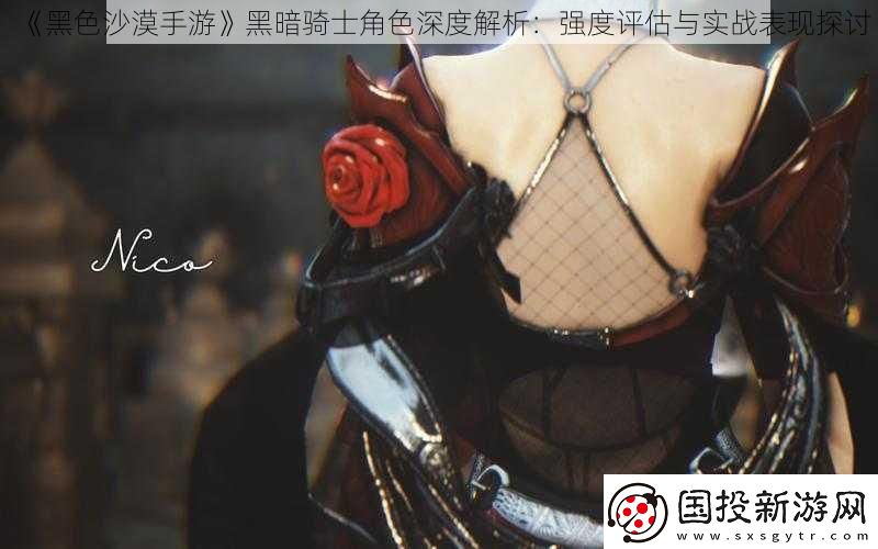 黑色沙漠手游黑暗騎士角色深度解析：強(qiáng)度評估與實(shí)戰(zhàn)表現(xiàn)探討