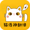 貓語(yǔ)神翻譯