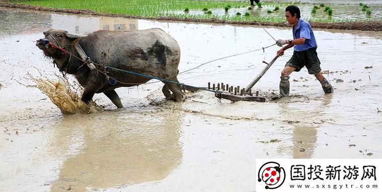 耕媽田:全球嗨翻的“新大陸”