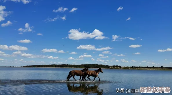 怪物獵人：荒野征途PC版極致體驗配置指南-暢享狩獵之旅的硬件需求全解析