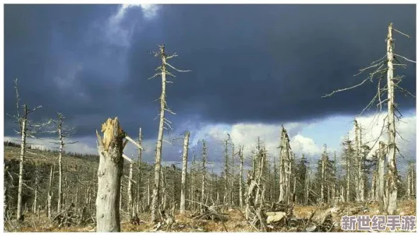 探索寵物石頭的隱秘弱點(diǎn)：水、酸雨與劇烈溫差——三大自然天敵全解析
