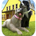 孕犬寵物護(hù)理游戲-孕犬寵物護(hù)理游戲安卓版V1.0