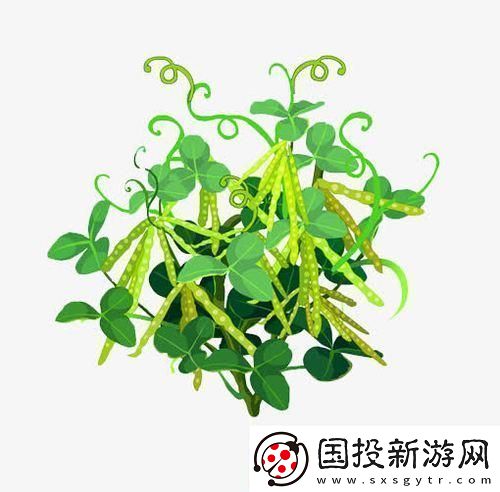 4399豌豆莢逗趣解碼狂想曲