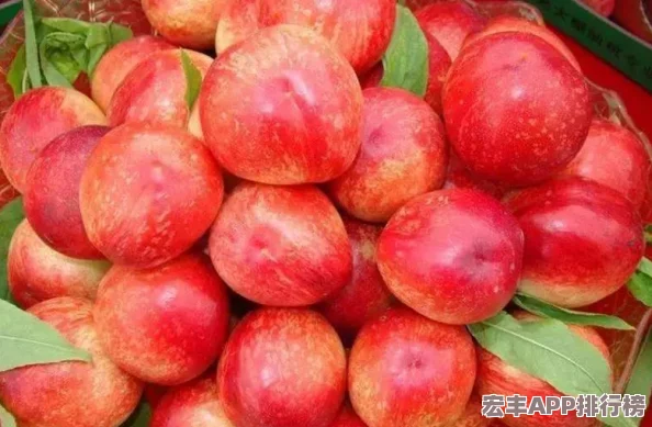 和平精英SS22賽季開啟時間揭曉：預(yù)計(jì)3月27日迎接全新田園風(fēng)格主題