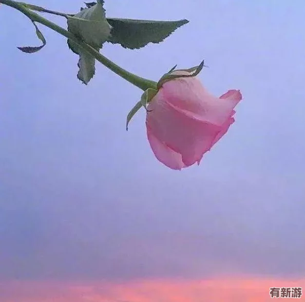墨色劍影：江湖烽煙再起-十五大任務逐一擊破策略詳解