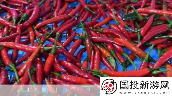 午煮香蕉小辣椒被友爆料下架了：午煮香蕉小辣椒下架背后的真相揭曉！