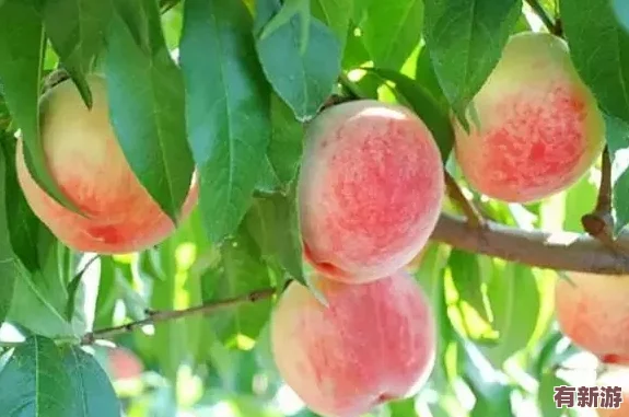 理解桃子傳媒劇國產mv的特點及其在當代文化中的影響與表現形式
