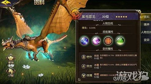 太極熊貓裝備強化指南