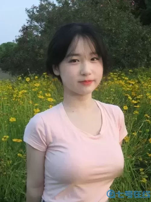 探秘蘑菇在線免費(fèi)觀看高清ppt的奇妙世界