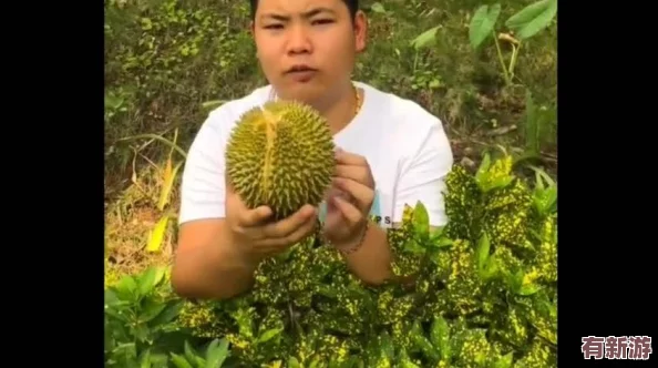 榴蓮秋葵讓你流連忘返-網(wǎng)友稱贊其獨特口感-吃了讓人欲罷不能-驚艷味蕾的絕妙組合