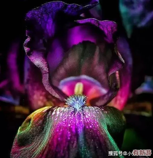 色喲喲喲喲