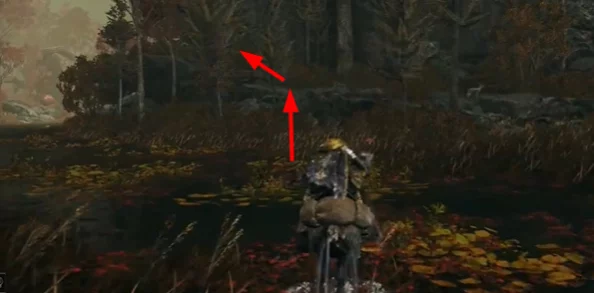 比較艾爾登法環(huán)中火焰與黑焰的威力