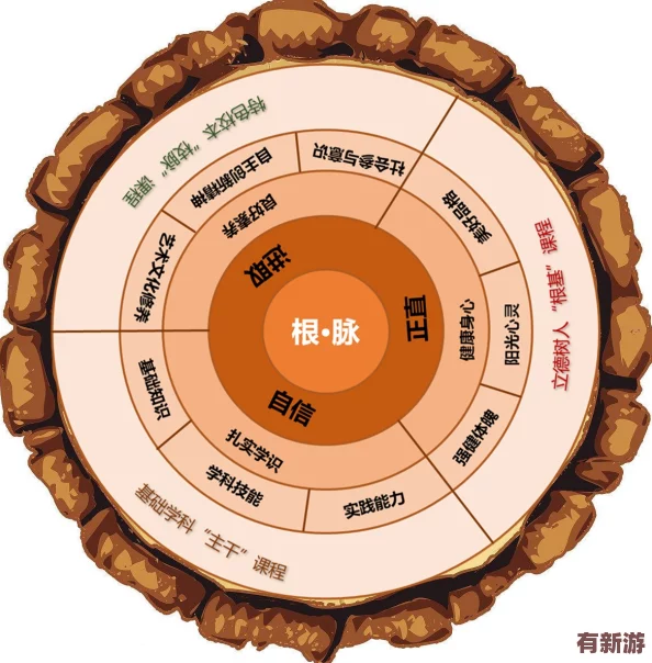 通過(guò)深入分析理解“輪換2”的多層次含義與應(yīng)用場(chǎng)景