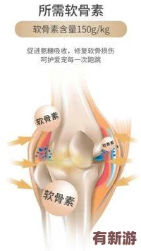 糖心柚子貓短視頻vlog：2024年最火的萌寵趨勢與生活分享-帶你感受甜蜜日常！