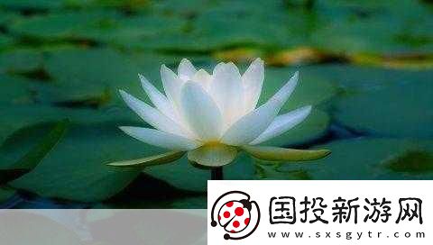 女人晚上蓮花開的害處：1.-女性夜間蓮花開：對健康的潛在影響