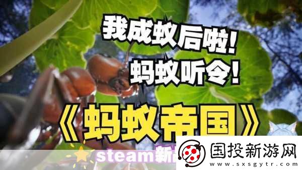 獨(dú)家揭秘Steam新寵Ant-Colony:-Wild-Forest——螞蟻帝國(guó)的策略盛宴！