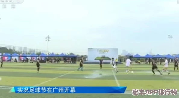 實(shí)況足球勝利十一人9全面操作手冊(cè)