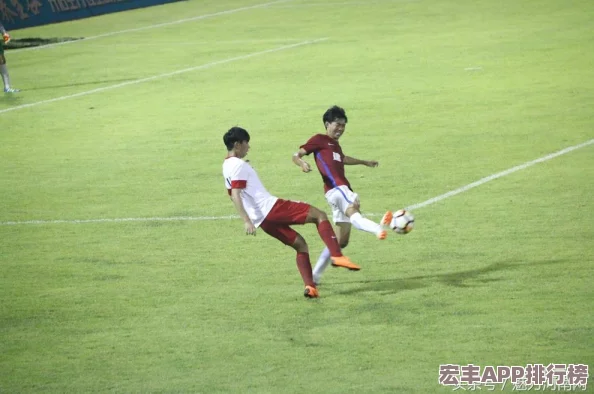 實(shí)況足球勝利十一人9全面操作手冊：精通基礎(chǔ)技巧-邁向綠茵場巔峰