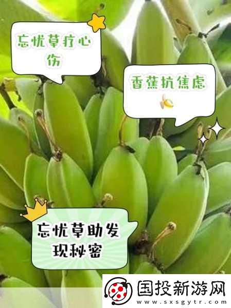 香蕉與忘憂草：自然界的奇妙對比
