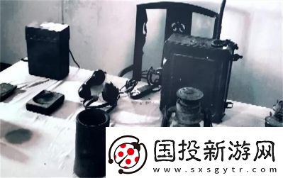 女婿槍槍有力：揭示背后的動(dòng)力秘密