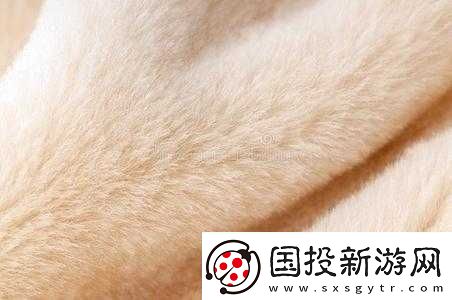 AAAA-級的毛皮最簡單三個顏色：獨特魅力呈現(xiàn)