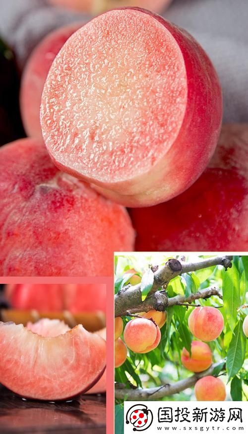 桃醉意國(guó)界的新晉紅！