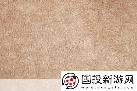 AAAA級(jí)毛皮：奢華之選-溫暖你的每一天