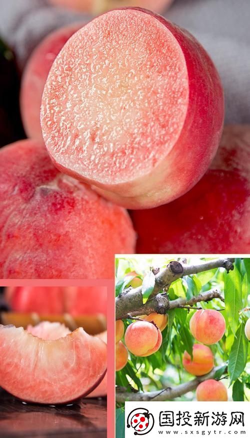 桃醉意國(guó)界的新晉網(wǎng)紅！