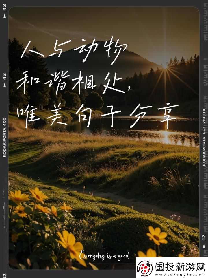 喵星人汪星人-和諧共舞互聯(lián)網