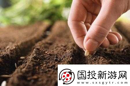 耕種媽媽肥沃的土地：一段獨特的田園經(jīng)歷