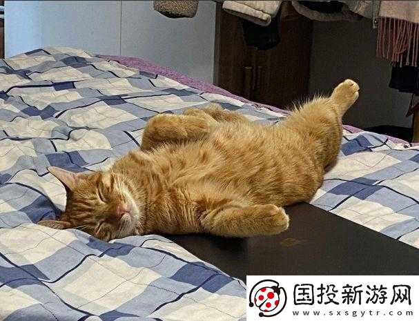 睡覺(jué)感覺(jué)有一股很強(qiáng)的吸力：原因何在