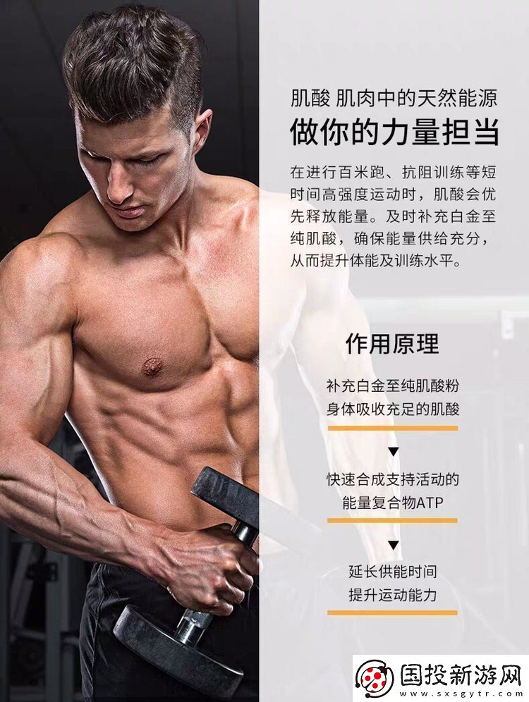 肌肌對肌肌的桶永久免費軟件：探索無限可能