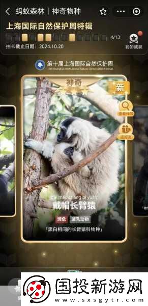 夢幻花園全國玩家盛會深圳啟幕-共筑夢想家園