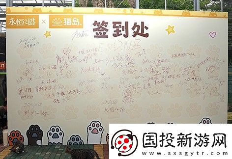 永恒之塔攜手玩家登陸“上海貓島”參與公益項目關愛社區(qū)流浪貓