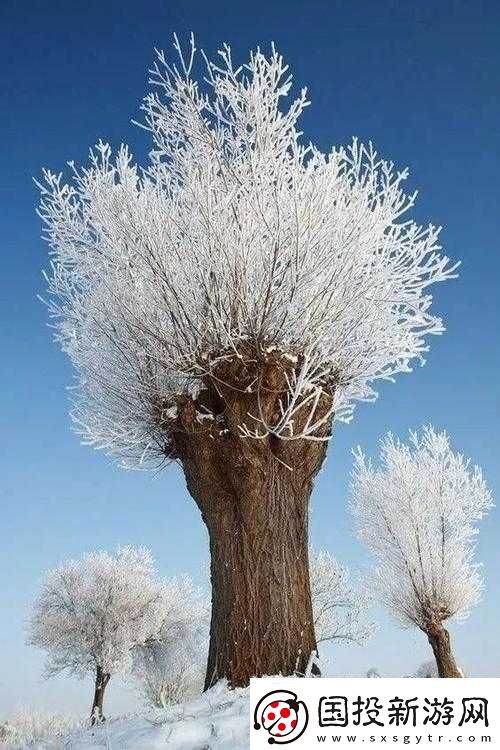 感嘆號(hào)猛戳句號(hào)：震撼心靈的奇特表達(dá)