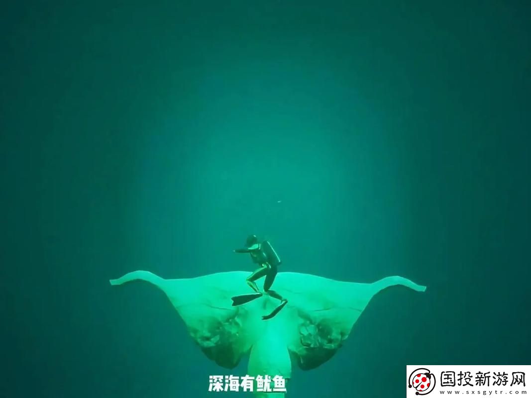 魷魚(yú)視頻在線(xiàn)觀看免費(fèi)最新：探尋深海中的奇幻世界