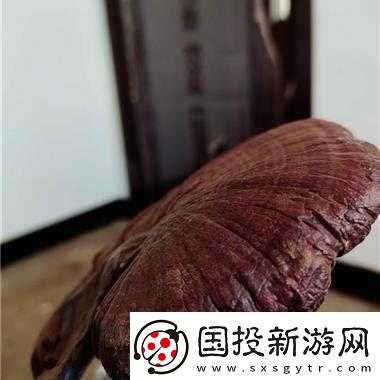 江湖秘聞：千年靈芝獲取指南