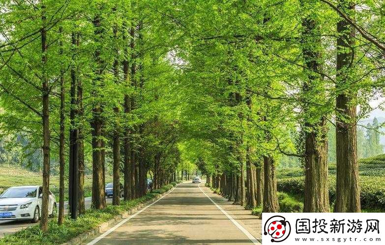 深圳玖玖玖人力資源有限公司咋樣：評價如何