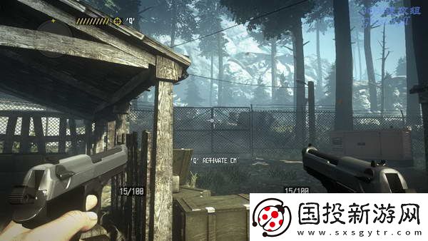 深入探索全流程圖文攻略指南