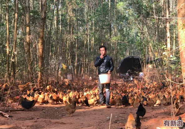 10款成品短視頻入口在哪里