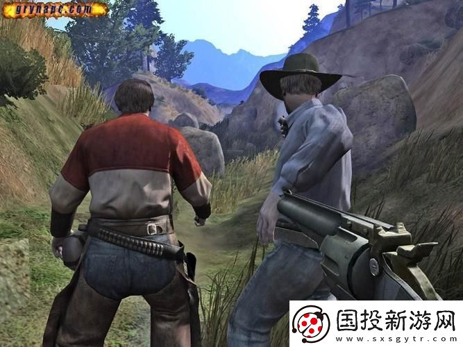 深入探索全流程圖文攻略指南