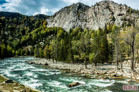 我豐滿的新疆岳