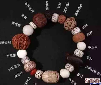 六個佛目珠在哪-專家解析其歷史淵源與文化意義-引發(fā)公眾熱議