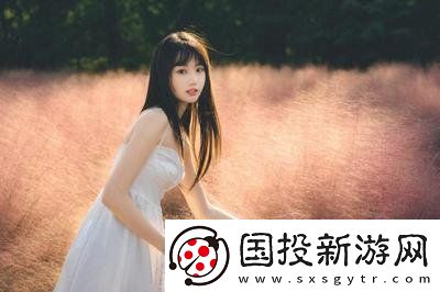 別墅互換游戲2如何重新定義虛擬度假體驗-玩家稱贊：這款游戲讓我的假期變得更加有趣！