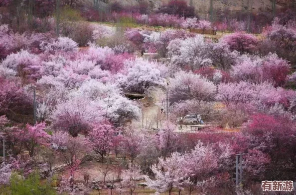 我豐滿的新疆岳-3：網(wǎng)友熱議“這幅畫面真是美得讓人窒息-仿佛置身于世外桃源！”