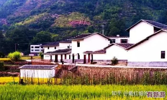 中國四川農(nóng)村婦女BBW