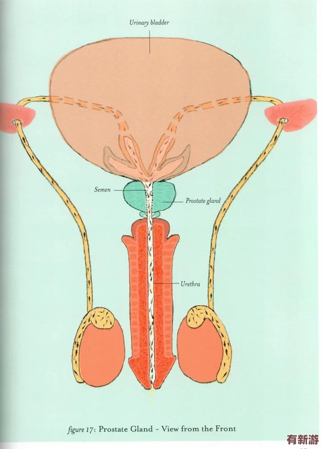 手腳綁起來拿刷子刷尿道孔的行為背后隱藏著怎樣的心理與動機(jī)
