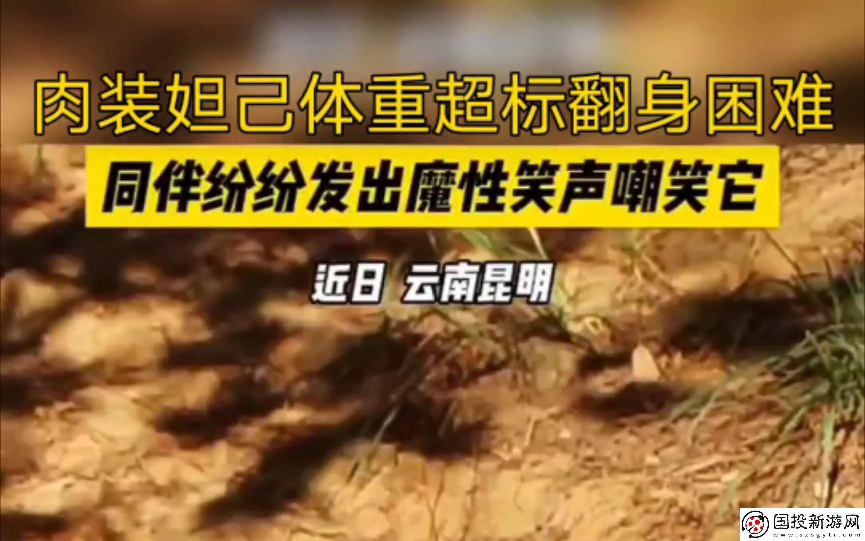 “肉裝妲己-笑翻絡(luò)：窘境中的笑與淚”