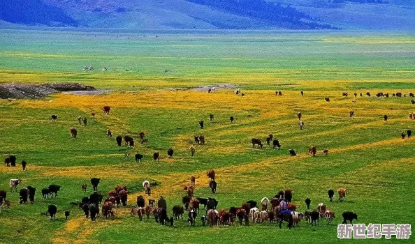 ZoomkooL牧場9k嬌?。鹤屆恳淮缤恋囟汲錆M生機和活力的美麗樂園